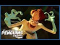 The Penguins get Revenge on Dave | DreamWorks Madagascar