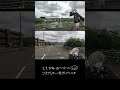俯瞰するといろんなことが見えてくる #shorts #geoguessr #ジオゲッサー