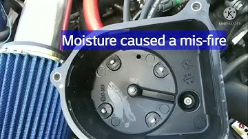 Always do this ! distributor rotor