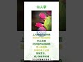 #高免疫力 #低炎症 #逆龄长寿密码#健康养生 #抗炎饮食 #免疫力提升 #昭妃博士 #养生干货