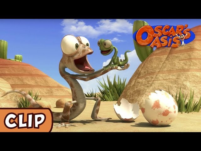 Oscar's Oasis - Baby Lizard | HQ | Funny Cartoons class=