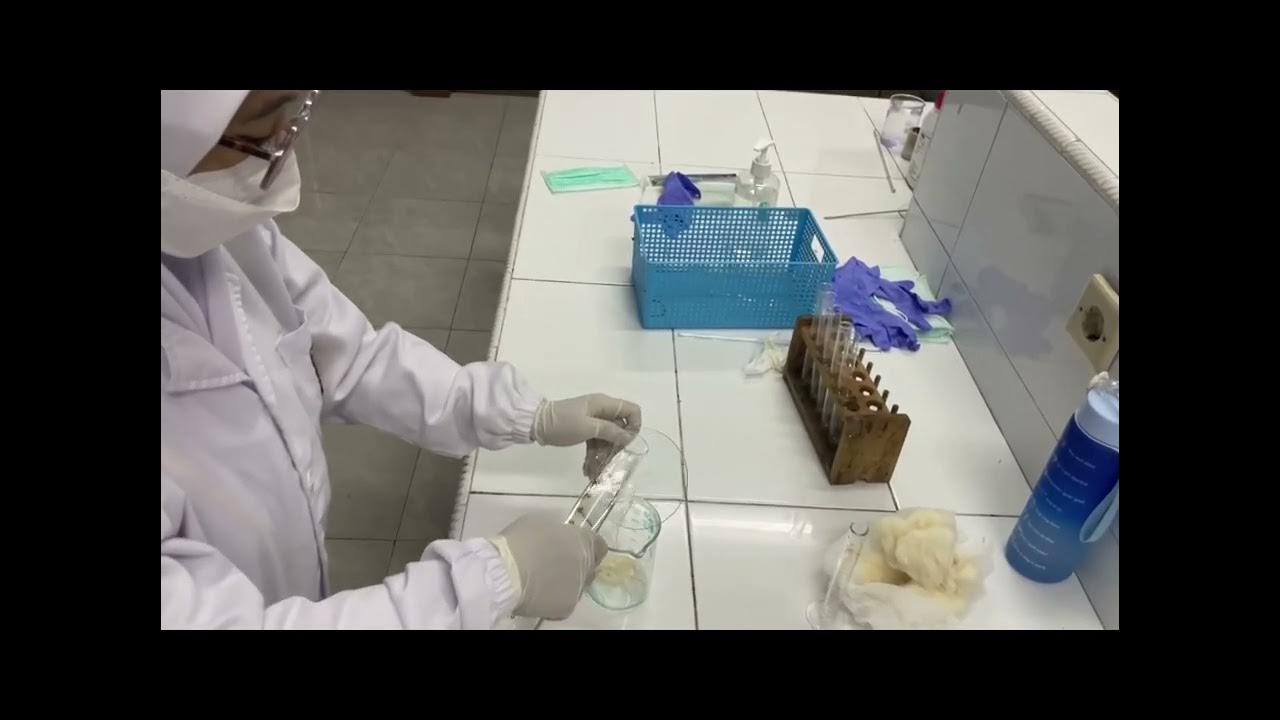 Pembuatan Media Phenol Red Mannitol Broth II D3 Analis Kesehatan II 1B II STIKes Karsa Husada