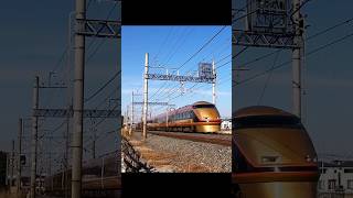 東武スカイツリーラインショート動画走行集112【東武10030型50番代乗務員訓練試運転・100系特急スペーシア・200系特急りょうもう 他】#shorts #train #東武 #鉄道 #特急