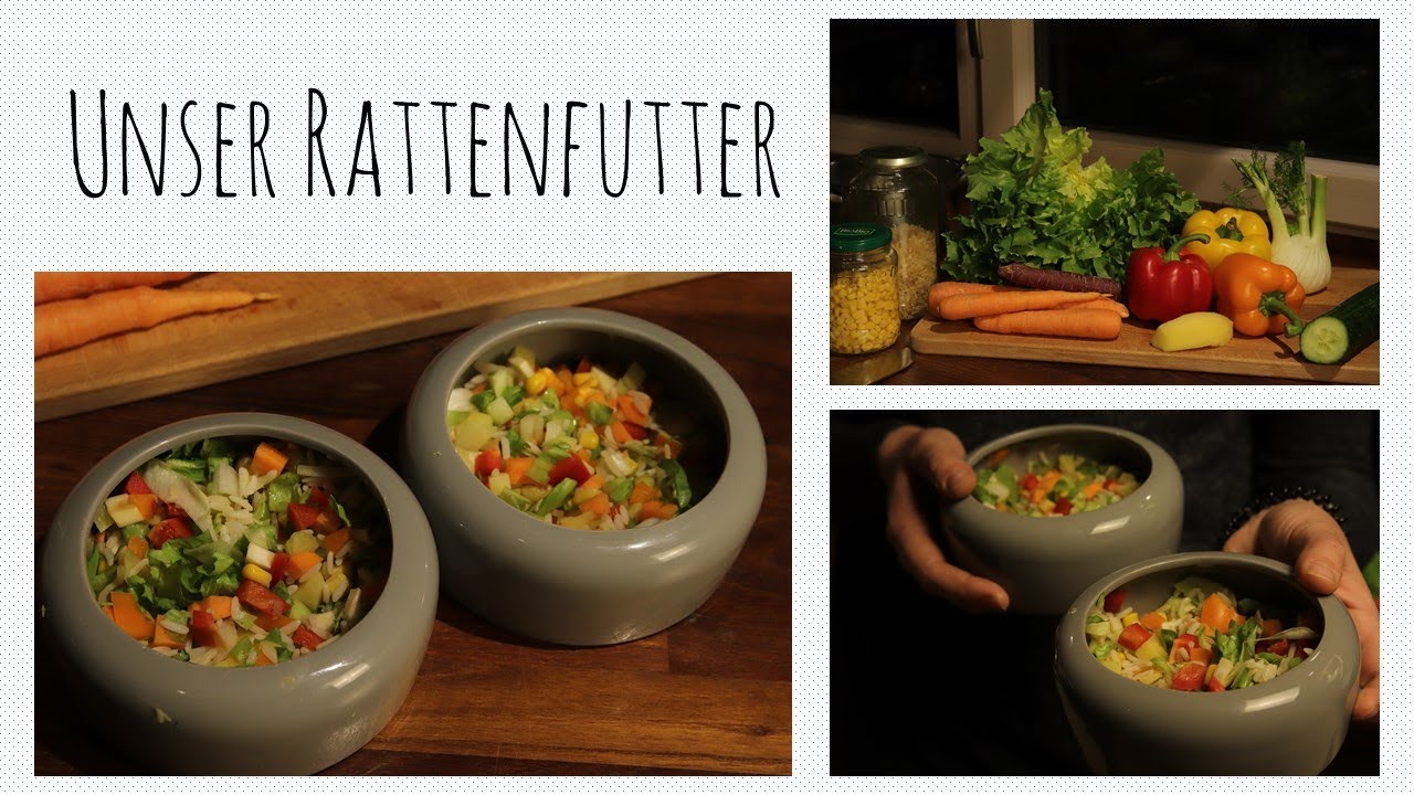Unser Rattenfutter