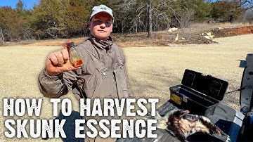 How to Harvest Skunk Essence
