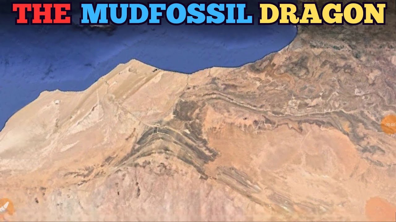 THE MUDFOSSIL DRAGON