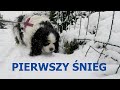 Learn Polish | Pierwszy śnieg w Warszawie w tym roku