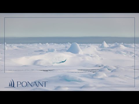 Vidéo: Croisière en Antarctique : visite de l'île aux éléphants en zodiac