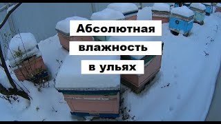 Зимняя поилка в улье и влажность воздуха