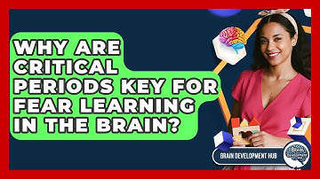 Why Are Critical Periods Key For Fear Learning In The Brain? - Brain Development Hub