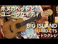 BIG ISLAND（ビッグアイランド） U-MO-CTS　コンサートウクレレ　ハワイアンマンゴー単板