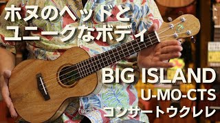 BIG ISLAND（ビッグアイランド） U-MO-CTS　コンサートウクレレ　ハワイアンマンゴー単板