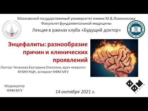 Видео: Защо разнообразието е важно в образованието в ранна детска възраст?