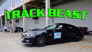 TRACK DAY! Scott's FBO 5.0 GT Conquers Sebring!
