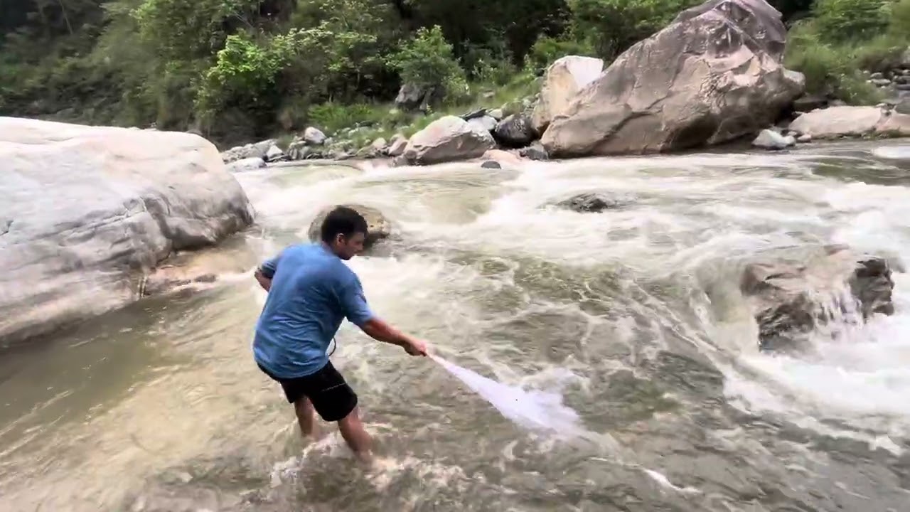 Cast Net Fishing in Himalayan River #fishing #nature #villege #fish 