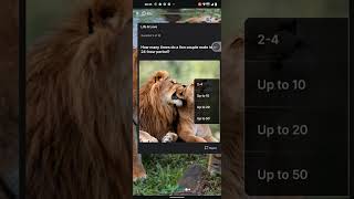 Wild Cats: A Deep Dive Life & Love Quiz Answer HICH Quiz HICH Trivia HICH App screenshot 5