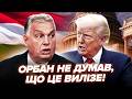Оце поворот! ВИПЛИВЛО ТАКЕ про Орбана, що ОСТОВПІЛИ ВСІ. Трамп НЕ ЧЕКАВ ТАКОЇ ПІДСТАВИ