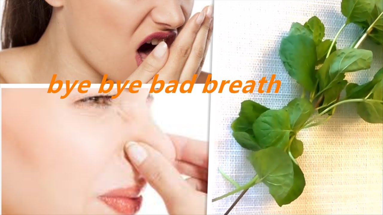 What To Drink To Get Rid of Bad Breath Bad Breath Treatment At Home To