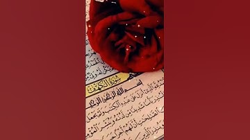 سورة العنكبوت #اكسبلور #لايك #الجيلي #ترند #القرميد #تيك_توك #الوكره #duet #الورقات #دويتو