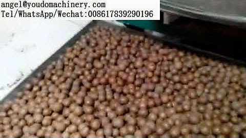 Macadamia Nut Cracking Opening Machine