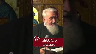 Pr. prof. Vasile Mihoc - Mădulare bolnave - Bistrița, 12 nov. 2023