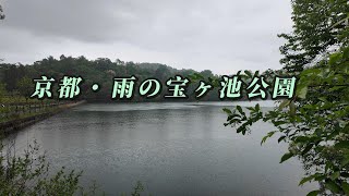 京都　雨の宝ヶ池公園2024年4/30（火）雨/ＧＷ　自然環境音　雨の音　Ambient【4K Japan Waking】