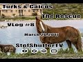 The rescue in turks and caicos vlog8