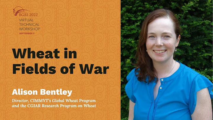 Alison Bentley -  Wheat in Fields of War - Conflic...