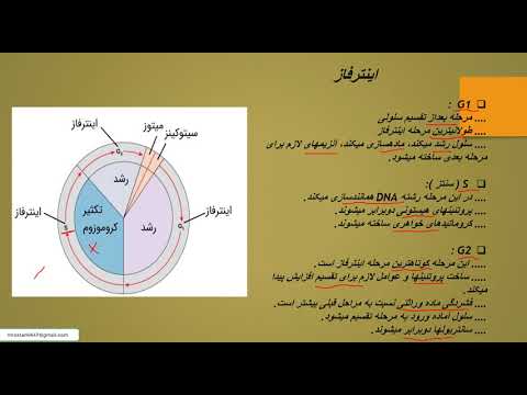 تصویری: چرخه برنامه ریزی چیست؟