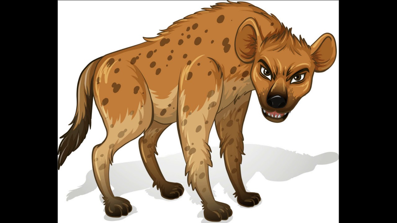 Laughing Hyena sound (HD) YouTube