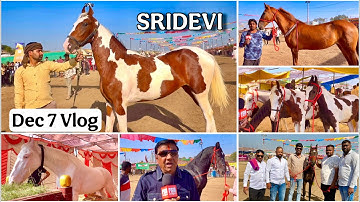 Sarangkheda Horse Fair 2025 Dec 7 Vlog | Munna Dada, Sridevi, Rudrani, Rashi & Moosa