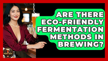 Are There Eco-Friendly Fermentation Methods in Brewing? | The Pint Guy
