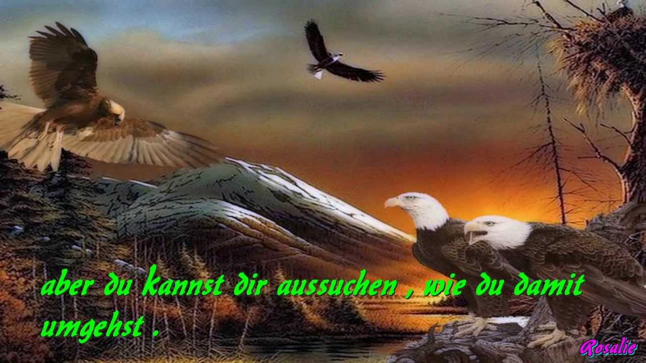 Im Reich Des Goldenen Condor Im Reich Des Goldenen Condor