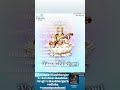 #BASANTAPANCHAMI2026 celebration of#SaraswatiPuja2026🌺🪔#krishnavikash#kvb#krishnavikashschoolbargarh