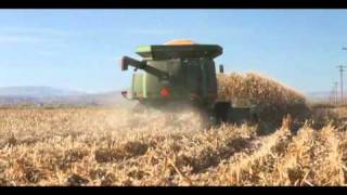 Corn Harvest 2010