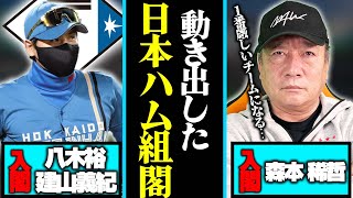 【日本ハム組閣決定‼︎】来季優勝の為に日本ハムが動き出した！日本ハムの新コーチ就任について思うことを語ります！【プロ野球】