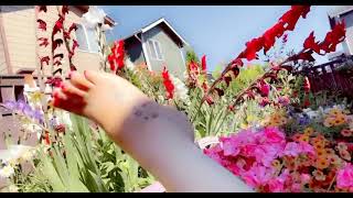 Chubby Feet In The Garden Today. Happy Colorful Day Here.