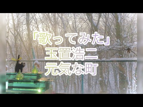 【カバー曲】元気な町　玉置浩二　Covered by Hakkou