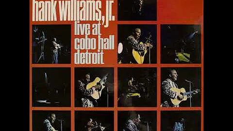 Hank Williams Jr. Live At Cobo Hall Detroit