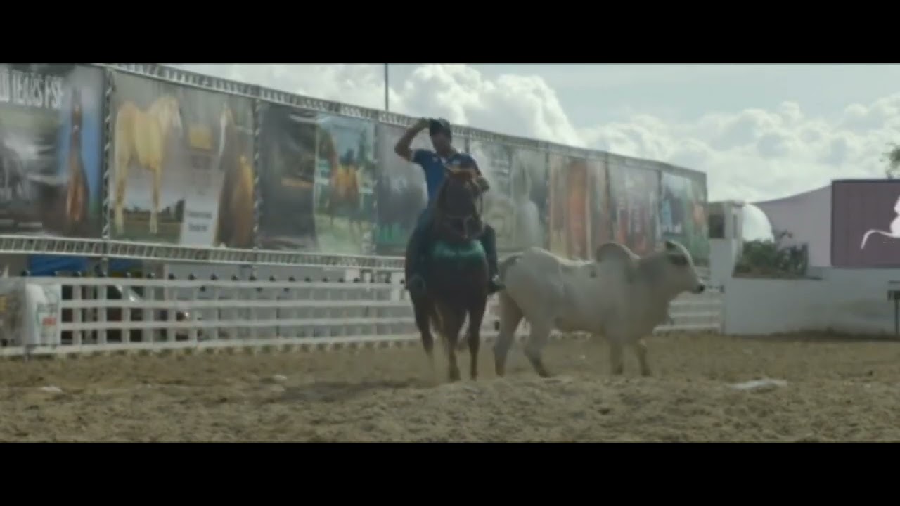 Neon Rodeo Combat NEON BULL SCENE RODEO - YouTube