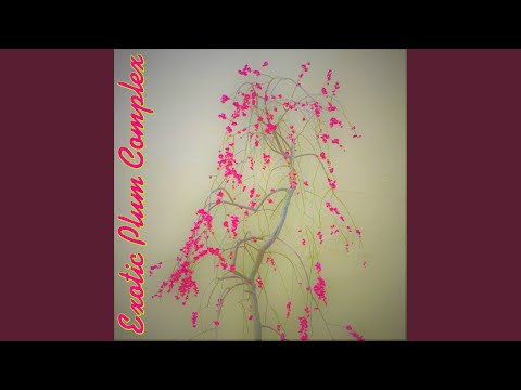 غروب غم انگیز 