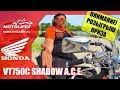 HONDA VT750C SHADOW A.C.E.