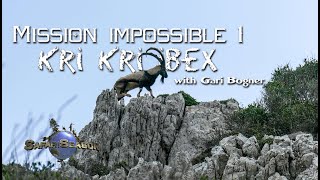 Kri kri ibex hunting in Greece - Mission possible Kri Kri bow hunt- SS 11 screenshot 5