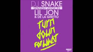 Turn Down For What (Spanish Version) DJ Snake Ft Lil Jon ,De La Ghetto ✓