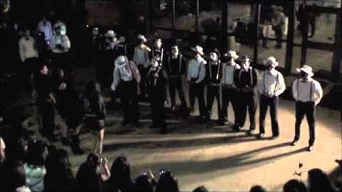 Delta Epsilon Psi - Alpha Class of Alpha Alpha Colony - UGA - Greets Delta Phi Omega Sorority, Inc.