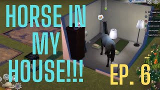 HORSE IN MY HOUSE | Sims 4 Ranch | Episode 6