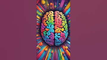 The Power of First Impressions