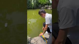 #Solar pump #Solar water pump #Agricultural Irrigation #Deep-well pump