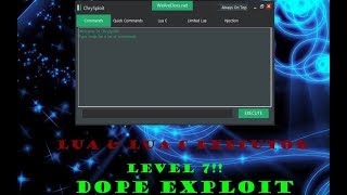 (WORKING!!)ROBLOX LVL 7 EXPLOIT CHRYSOPLOIT SWORDBURST 2 screenshot 5