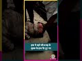 UP के Bareilly में तेज़ आंधी में टीन शेड के साथ उड़ा युवक, Viral Video #shorts